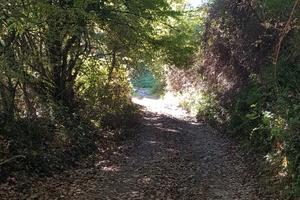 Terreno agricolo 3.800 MQ