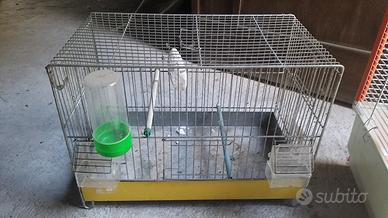 Gabbia uccelli