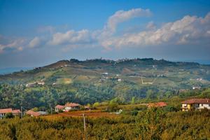 Le Langhe - I Vigneti - Il Vino