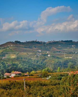 Le Langhe - I Vigneti - Il Vino