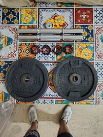 dischi e manubri per pesi