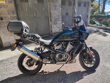 Harley Pan America Special