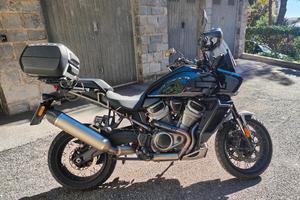 Harley Pan America Special