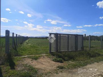 TER. AGRICOLO A FOGGIA