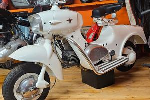 Rumi Formichino - 1955