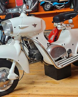 Rumi Formichino - 1955