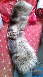 Collo VERA MARMOTTA+altri colli +Accessori inverno