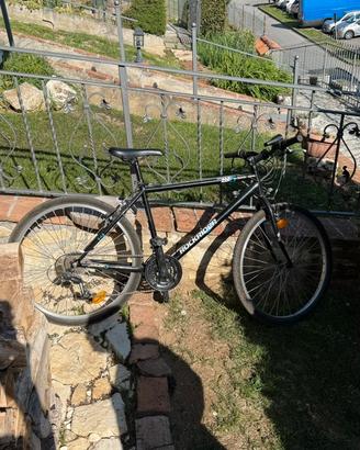 Bicicletta