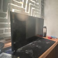 TV Samsung 45” NON SI ACCENDE