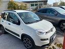 fiat-panda-1-0-firefly-s-s-hybrid-city-life-2022-i