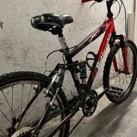 bici Bottecchia