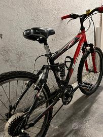 bici Bottecchia