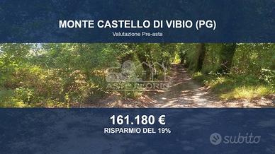 Immobile in asta di 221655 m² a Monte Castello di 