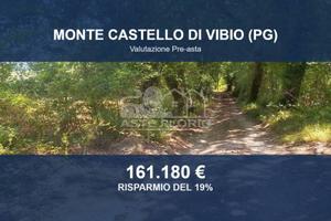 Immobile in asta di 221655 m² a Monte Castello di 