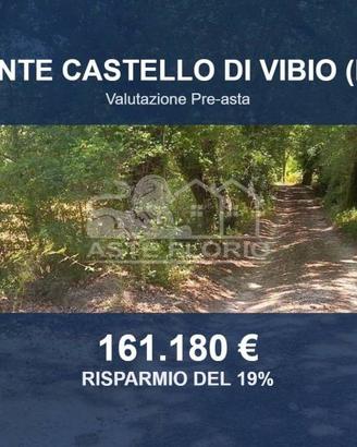 Immobile in asta di 221655 m² a Monte Castello di 