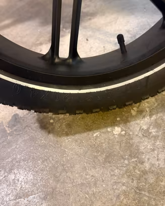 Bicicletta elettrica