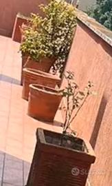 Vasi in terracotta e in cemento 2