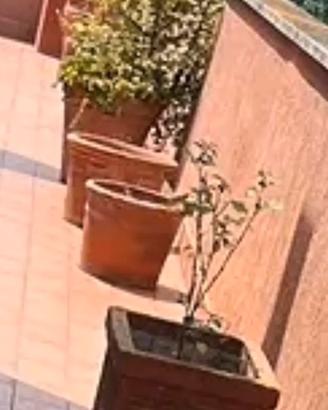 Vasi in terracotta e in cemento 2