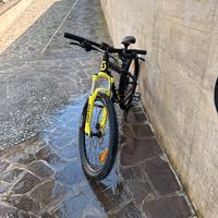 Bici scott scale