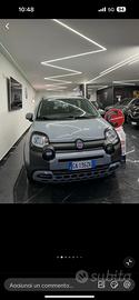 Fiat panda hybrid