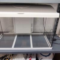 Acquario Ocean 60 litri. 