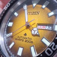 Citizen Promaster