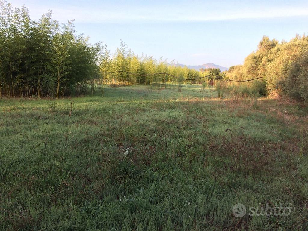 Terreno agricolo Assemini mq. 5.157 - Vista 4
