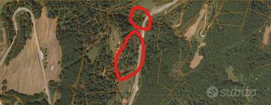 TERRENI SILVO_BOSCHIVI a San Giacomo di BRENTONICO