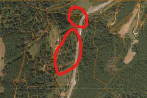 TERRENI SILVO_BOSCHIVI a San Giacomo di BRENTONICO