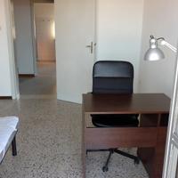 Camera singola Urbino