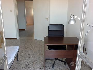 Camera singola Urbino