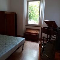 Libera subito camera singola x universitari