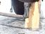 Immagine 6