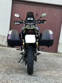 Valigie più telaietti Yamaha XT 660 Z Tenere