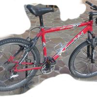 MTB Bandiziol cambio de ore