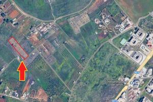 Tel. 3513311317 Terreno Agricolo Castelvetrano