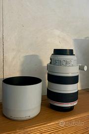 Canon EF 70-300mm f/4-5.6 L IS USM