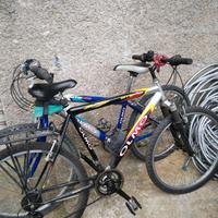 MTB Olmo