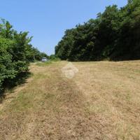 TER. AGRICOLO A BELMONTE IN SABINA