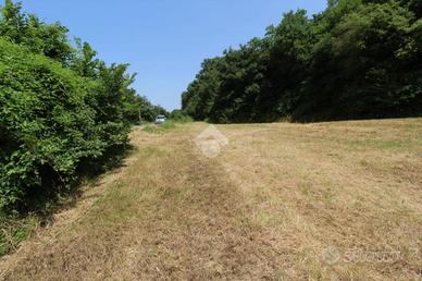 TER. AGRICOLO A BELMONTE IN SABINA