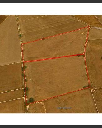 Terreno di 38000 m² a Ragusa