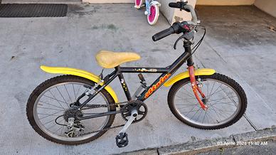 Bici Junior Atala Nytro