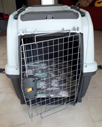 Trasportino Skudo Iata 5 con Porta in Ferro