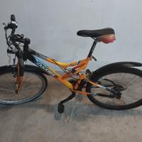 Bicicletta da ragazzo 