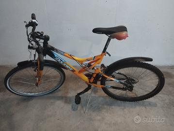 Bicicletta da ragazzo 