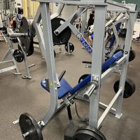 Hammer Strength  Life Fitness Palestra