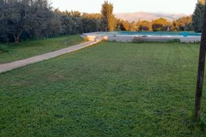 Casa tra il verde