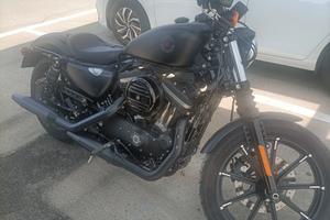 Harley-Davidson Sportster 883 - 2020