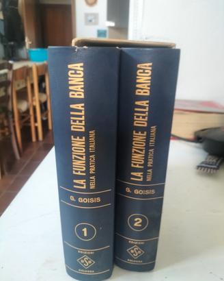 La funzione della banca nella pratica italiana. 