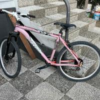 Mountain bike carnielli 